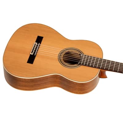 Ortega R20GWN Traditional Series Solid Cedar Top Mahogany Neck Nylon 6-String Classical Acoustic Guitar w/Gig Bag image 10