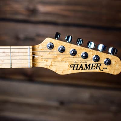 Hamer T-51 Custom Order "Kalcaster" one of a kind image 7
