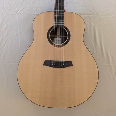 Stevens Custom Guitars Soulwood Jumbo w/Hiscox hardshell case image 1