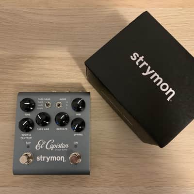 Strymon El Capistan V2 Tape Delay image 1