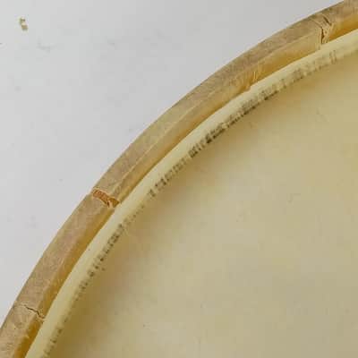 Gretsch 22"Broadkaster Calf Skin Bass Drum Head Professional Quality Vintage 50s image 7