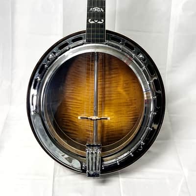 Washburn B18 5 String Resonator 1983 - Clear Gloss image 2