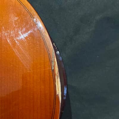 Schroetter 4/4  (Full size) 210A Cello Outfit, Used image 8