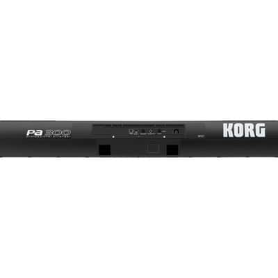 Korg PA300 61 Key Professional Arranger image 3