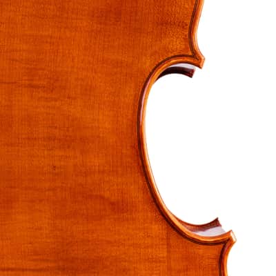 Testore Cello 4/4 from One Piece Back – Hand-Made in Romania 2025 #100 image 6