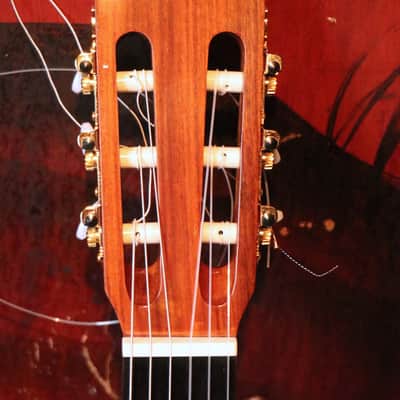 Solid Cedar + Brazilian Rosewood + Top Model From Suzuki Factory Japan + c.1978 + Nice Setup + Hard Case image 2