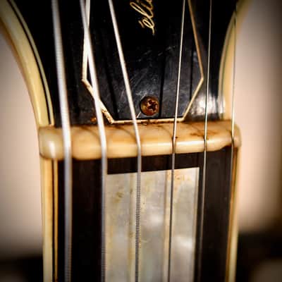 Fender D'Aquisto Elite Natural 1984 image 13