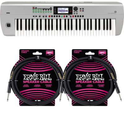 Korg i3 Arranger Keyboard (Silver), (2) ErnieBall Cables Bundle