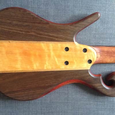 Carl Thompson 5 String Semi-Frills Fretted 2016 Natural image 6