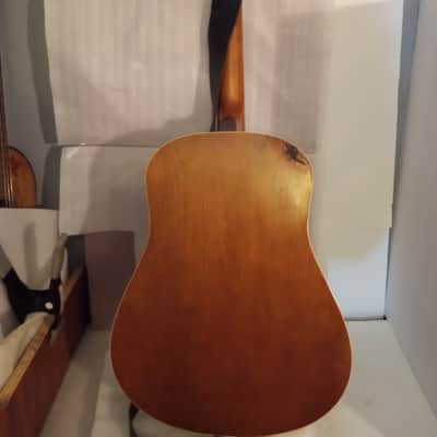 Seagull Entourage Dreadnought 2018 - Autumn Burst image 14