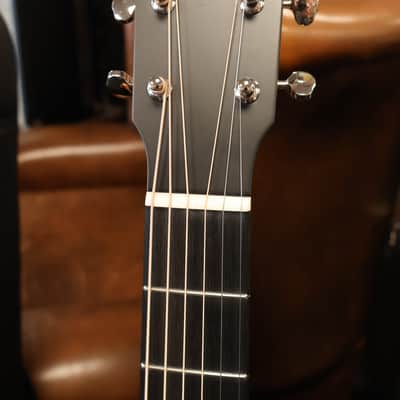 Eastman E1OMCE Special Orchestra with Electronics image 3