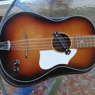Egmond Double Tenor Guitar - Acoustic Electric Bouzouki - Chicago Tuning DGBE image 1