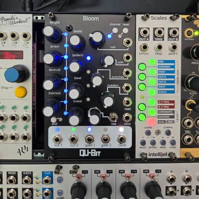 Qu-Bit Electronix Bloom | Reverb