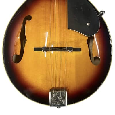 Washburn Mandolin M-1S image 2