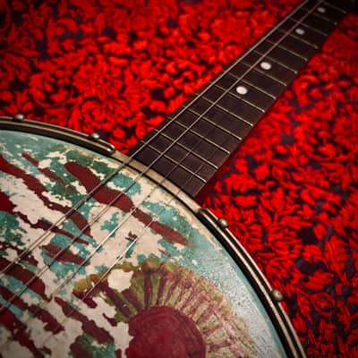 Rare 1920s Washburn Tenor Banjo Style E image 10