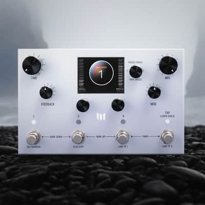 Meris LVX Modular Delay System & Looper, Brand New (Authorized Dealer) image 6