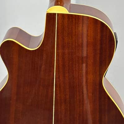Jay Turser JTAC-50EQ Acoustic-Electric Cutaway Guitar w/ Brand New Great Divide Gig Bag image 16