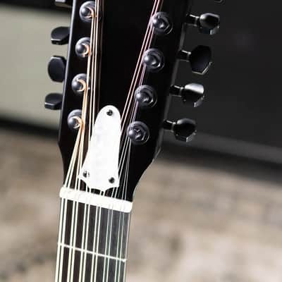 Taylor 250ce Plus BLK Doce Doble Acoustic/Electric Guitar - Black with Aerocase image 5