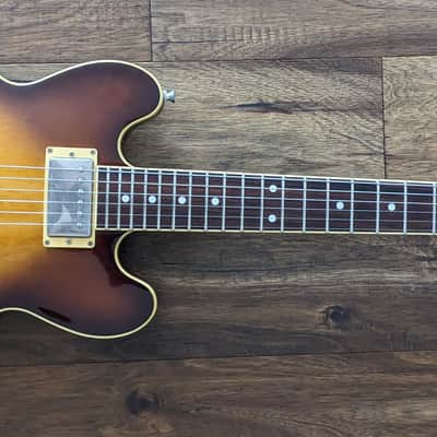 History ZMS-CFS - FGN Fujigen ES-339 style semi-hollow image 14