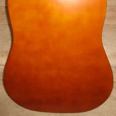 Aria Ariana Electric-Acoustic Dreadnought Guitar w/ Gigbag image 4