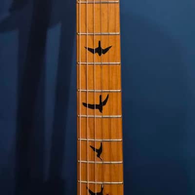PRS SE Ltd Edition Custom 24 - Grey Black image 8