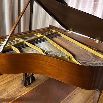 Steinway & Sons M 1927 - Mahogany Satin 256922 image 11
