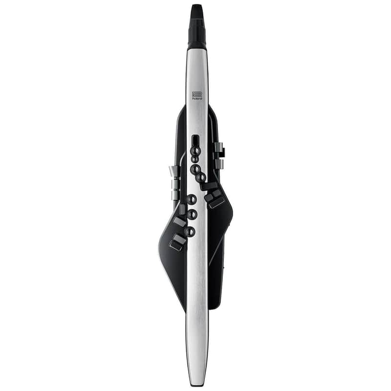Roland Aerophone Pro AE-30 Digital Wind Instrument image 1