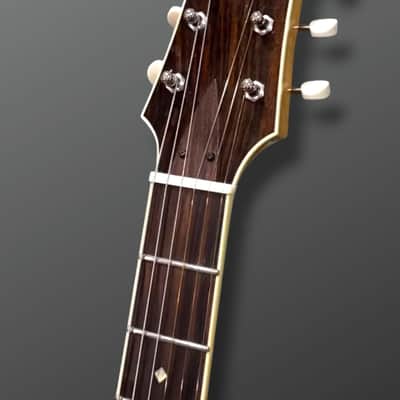Yanuziello Guitars - Electric model - 2021-2022 - Natural. Dynasonic Pickups / Mastery Hardware image 22