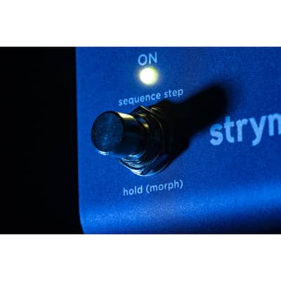 Strymon NightSky Time-Warped Reverberator Reverb Pedal image 12
