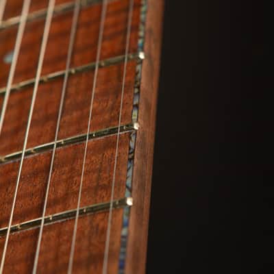 Hoff Guitars Valnut (Neck-Through, Multi-Scale, Semi-Hollow V 2024 - Polymerized Tung Oil image 19