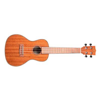 Gloss Mahogany Concert Kala image 1