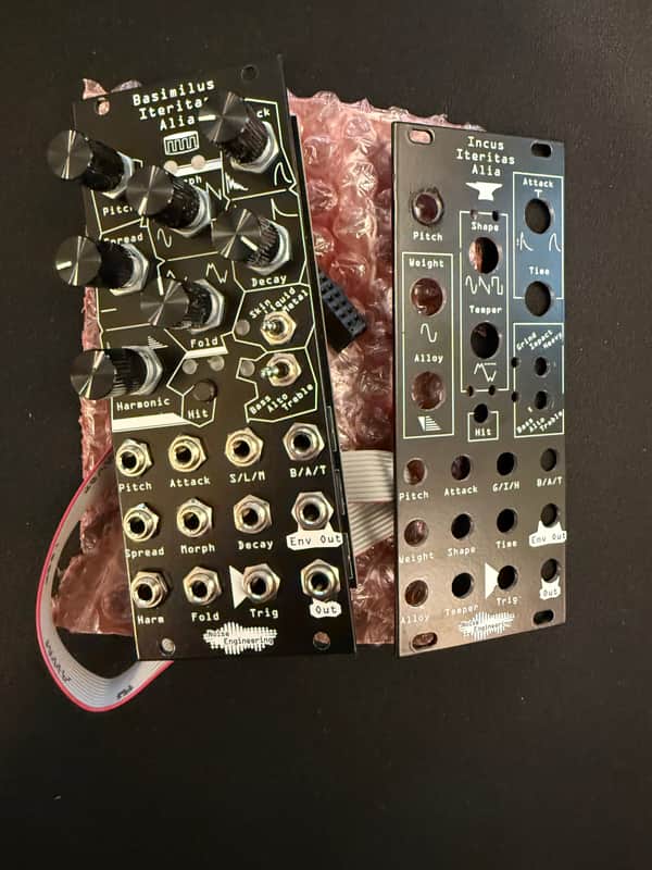 Noise Engineering Basimilus Iteritas Alia