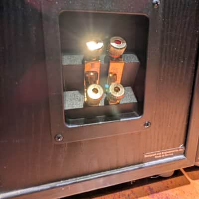 Restored JBL E80 2003 Speakers image 14