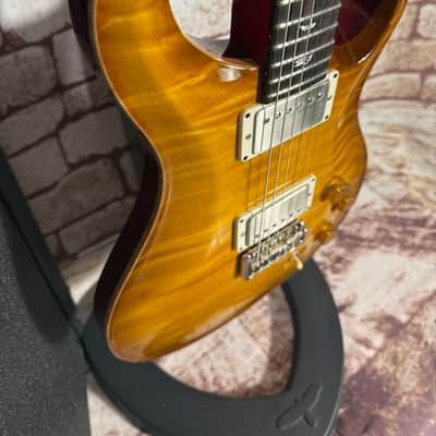 PRS DGT David Grissom Tremolo Signature Birds - McCarty Sunburst - ATA Case image 3