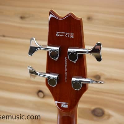ESP LTD TL-4 Hollowbody - Natural Gloss image 15