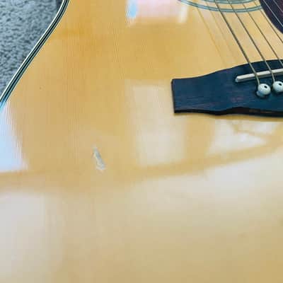 Ibanez SGT120 Sage Acoustic Guitar image 6