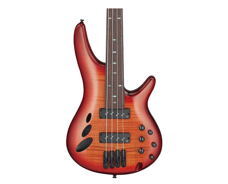 Ibanez SRD900FBTL SR Bass Workshop Bass - Fretless - Brown Topaz Burst image 1
