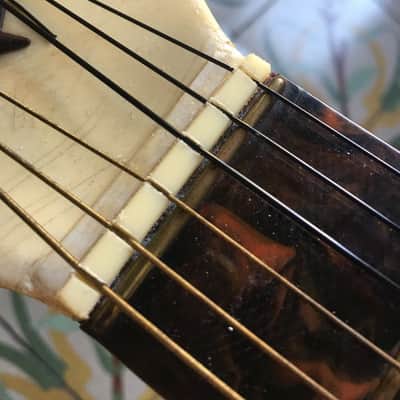 Vintage Maccaferri G40 Plastic Guitar 1950's White/Brown plastic image 7