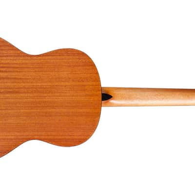 Cordoba Protege C1M Nylon Guitar image 2