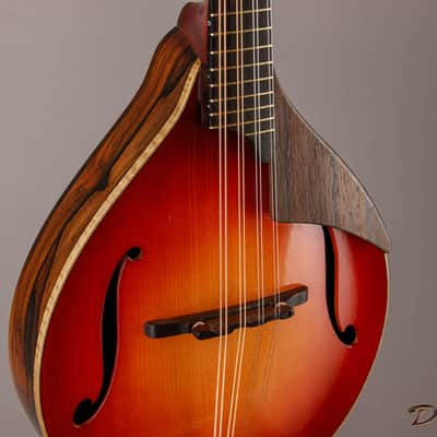 2014 Condino A style Mandolin, Brazilian Rosewood/Adirondack Spruce image 8