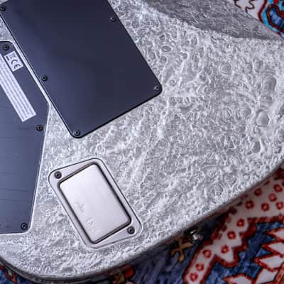 ESP MIJ Original MII CTM FR/M Limited Edition "Liquid Metal Silver + Maple" (2024) image 21