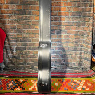 Epiphone Violin Bass Hard Case image 4