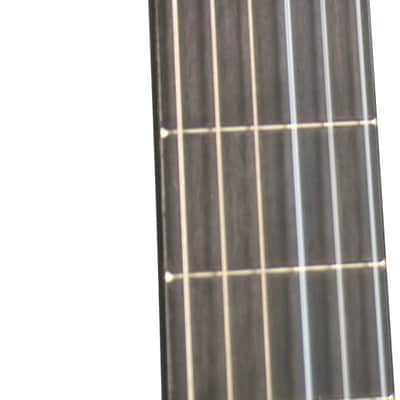 Gitane DG-560 Nylon String image 2