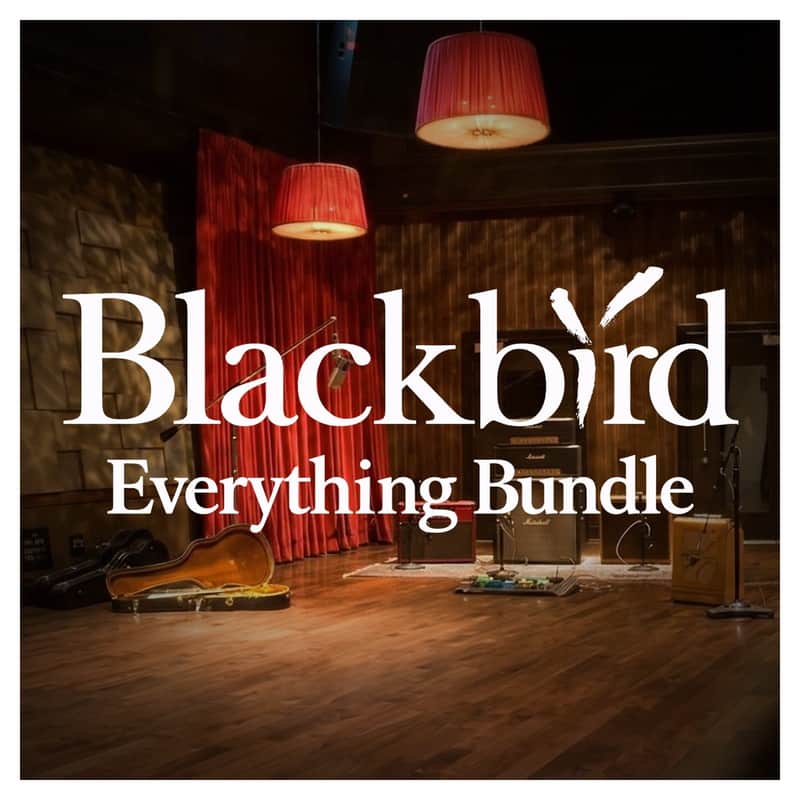 KIT Plugins Blackbird Everything Bundle 8 Studio Plug-ins (Activation Card) image 1