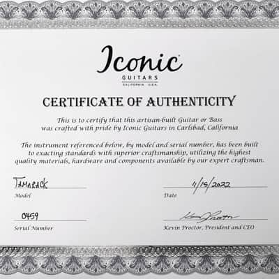 Iconic Guitars Tamarack Custom 2022 - Mary Kaye White. NEW (Authorized Dealer) image 13