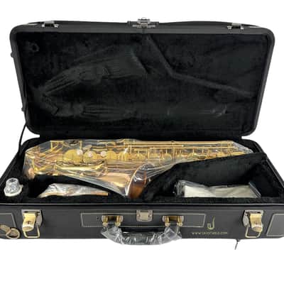 Yanagisawa AWO20UL Unlacquered Bronze Elite Alto Saxophone New In Box! image 3