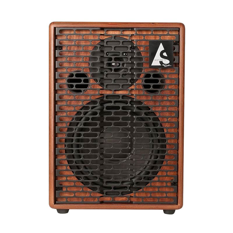 Godin ASG150 Acoustic Solutions 1x8" 150-Watt Guitar Amp image 1