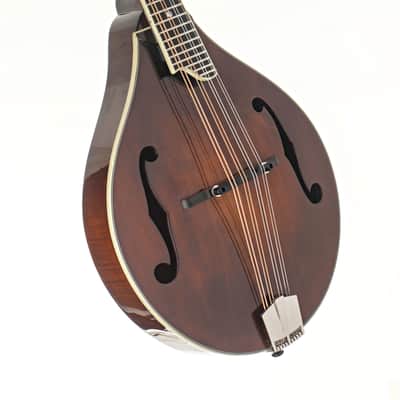 Eastman MD505 Mandolin #N2500813 image 4