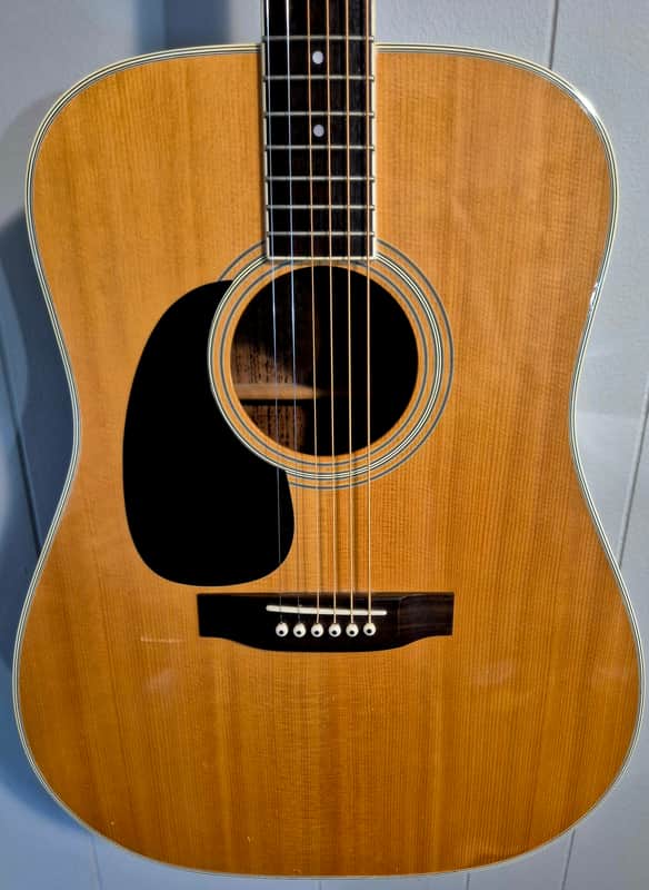 Takamine F-360