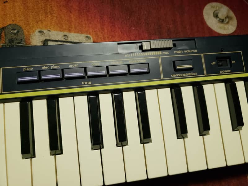 レゲエに革命をもたらした「スレンテンの母」、CASIO奥田広子さんが